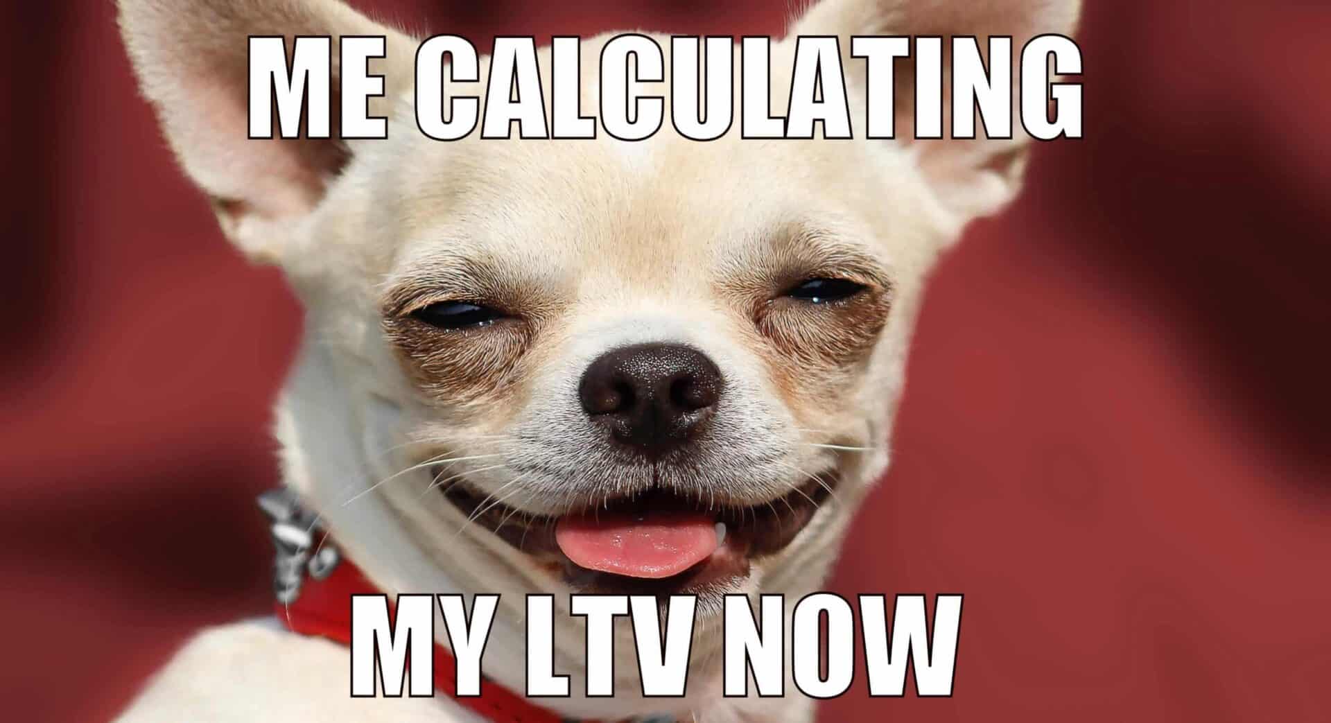 Happy dog meme after learning how to calculate Loan-to-Value