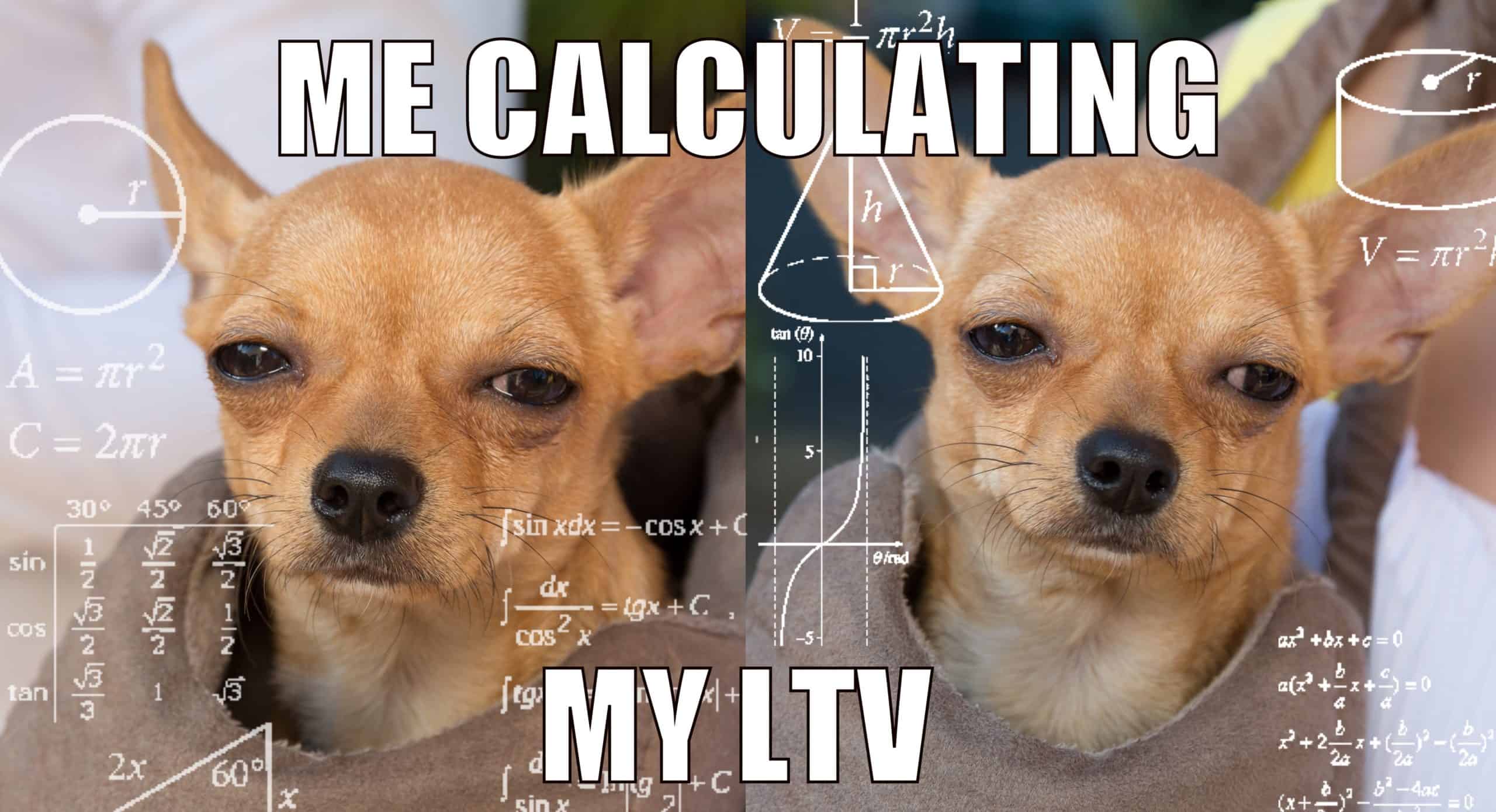 Dog meme confused while trying to calculate their loan-to-value